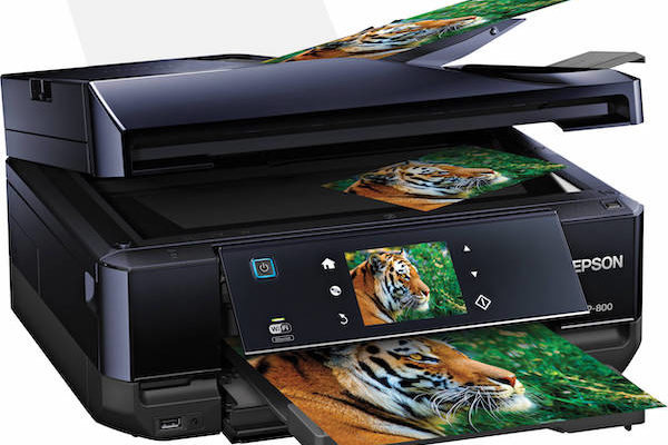 Epson Expression Premium XP-800