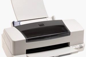 Epson Stylus Color 860